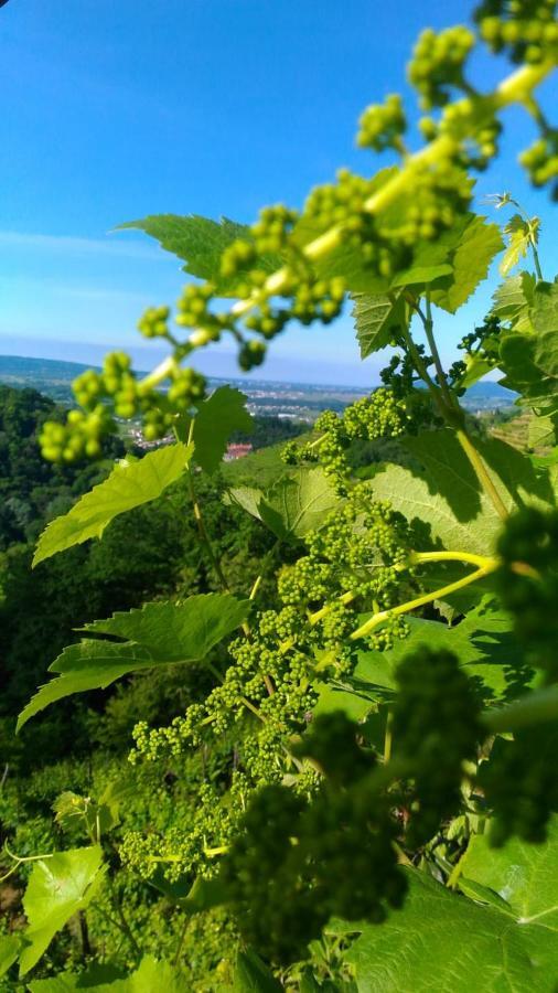 Seven Suites Pieve Pieve di Soligo Eksteriør billede