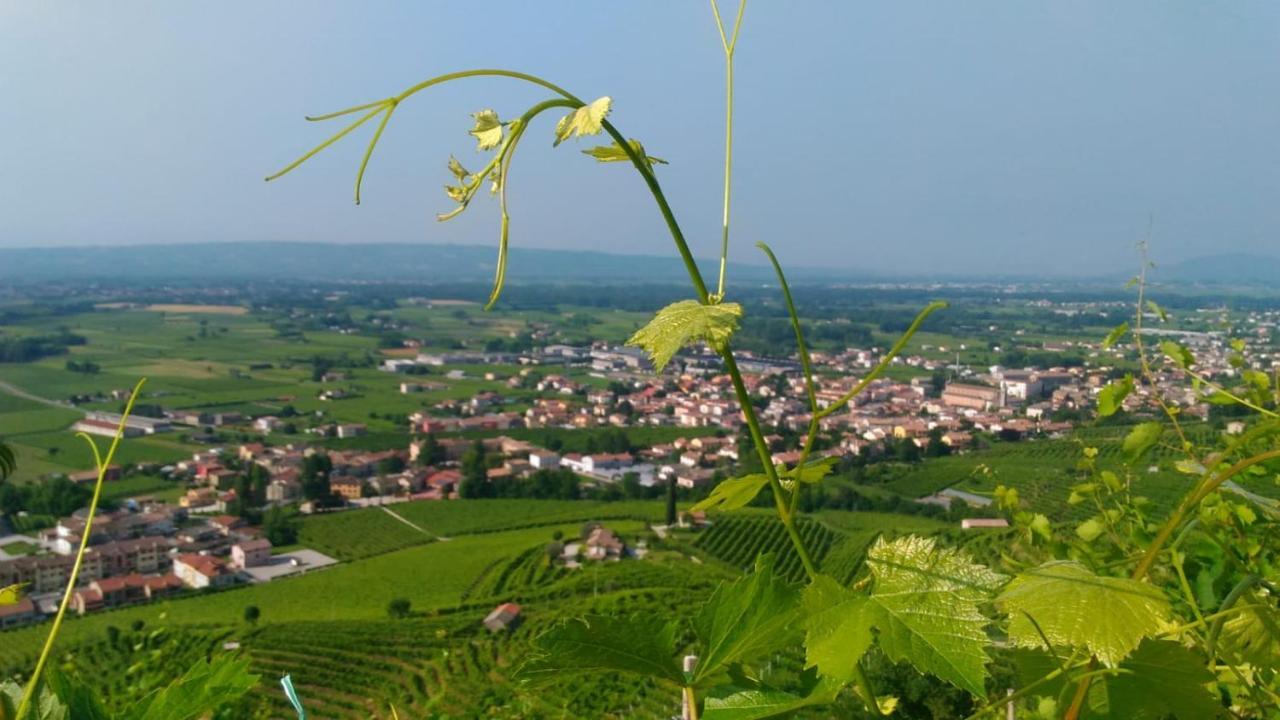 Seven Suites Pieve Pieve di Soligo Eksteriør billede